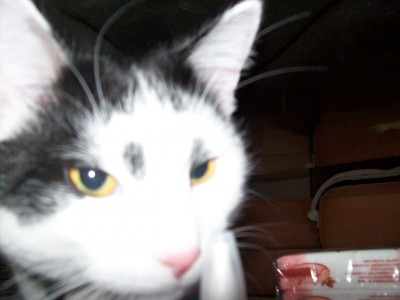 100_3584.jpg