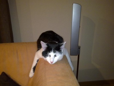 cici.JPG