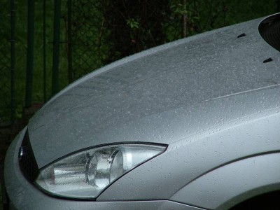 Fofo00103.jpg