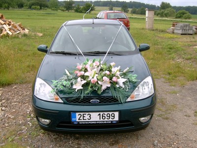 SV300037.JPG