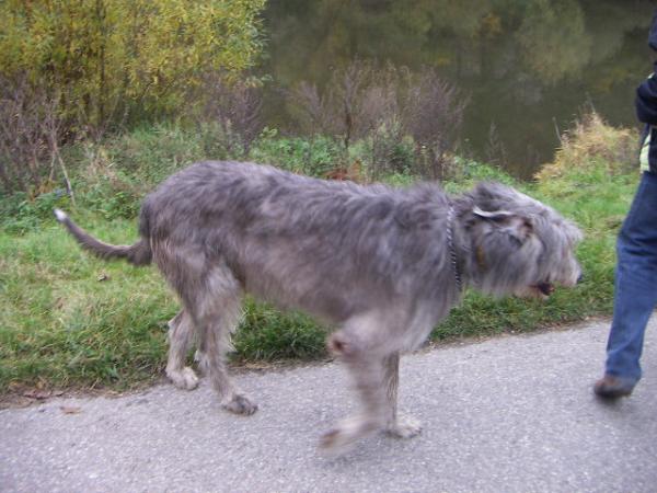 PICT0745.JPG