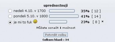 hlasovani sraz.JPG