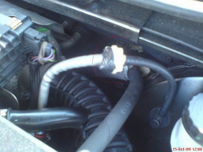 Resize of DSC02353.JPG