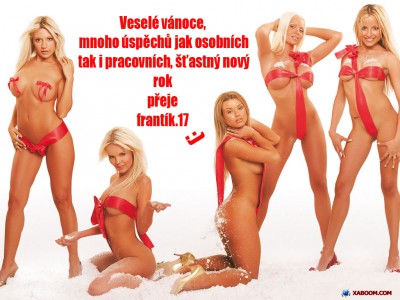 sexy-santa-girl-4-wallpaper kopie.jpg (51.26 KiB) Zobrazeno 5183 x ..to máme v obejváku, místo stromečku....