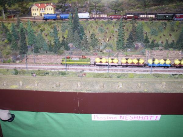 PB170011.jpg