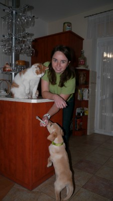 P1010939_small.jpg (28.49 KiB) Zobrazeno 728 x Sam