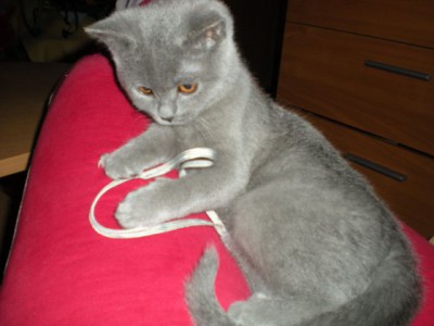 Snímek 003.jpg