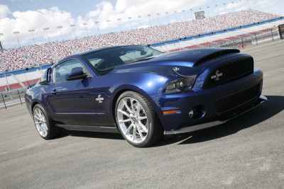 2010ss002.jpg