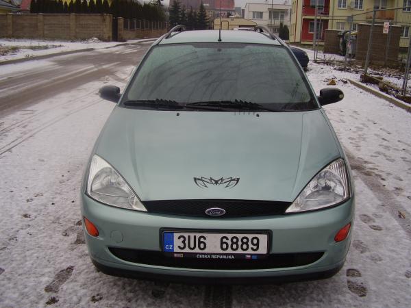 FoFo 004.jpg