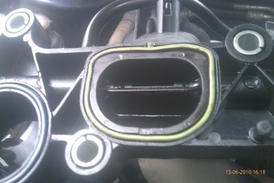 IMAG0249.jpg