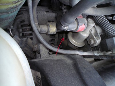detail.JPG