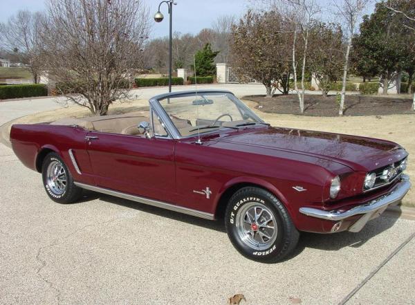 mustang1.JPG