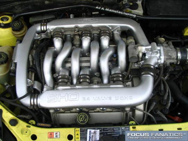 2562Shocus1.jpg