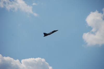 DSC_0202.JPG