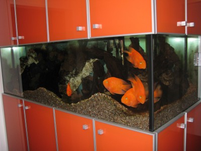 Snímek 029.jpg