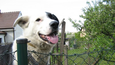 IMG_1870.JPG