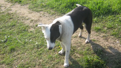 IMG_1861.JPG