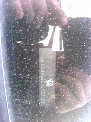 2011-04-01 18.44.59.jpg