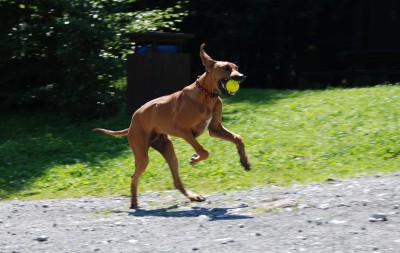 DSC_0034.JPG