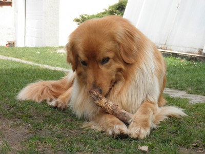 Image0001.jpg