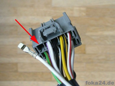 DSCF8081zoompfeilmc.jpg