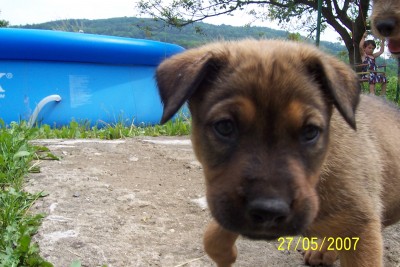 když byl Rony malej