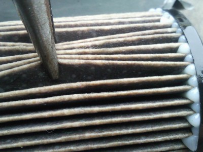 Resize of SNC00124.jpg